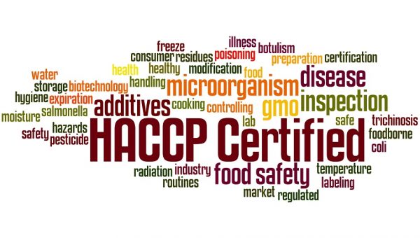 Konsultan HACCP | Food Safety Consultant